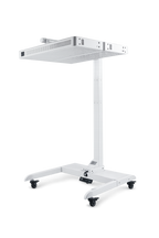 Electric Adjustable Stand