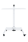 Electric Adjustable Stand