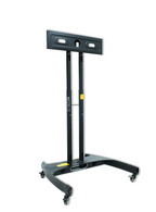Vertical Mobile Stand